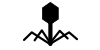 Phage Input